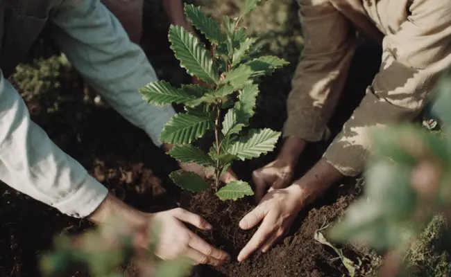 20250818 Stadt Linden KI Soziales 02