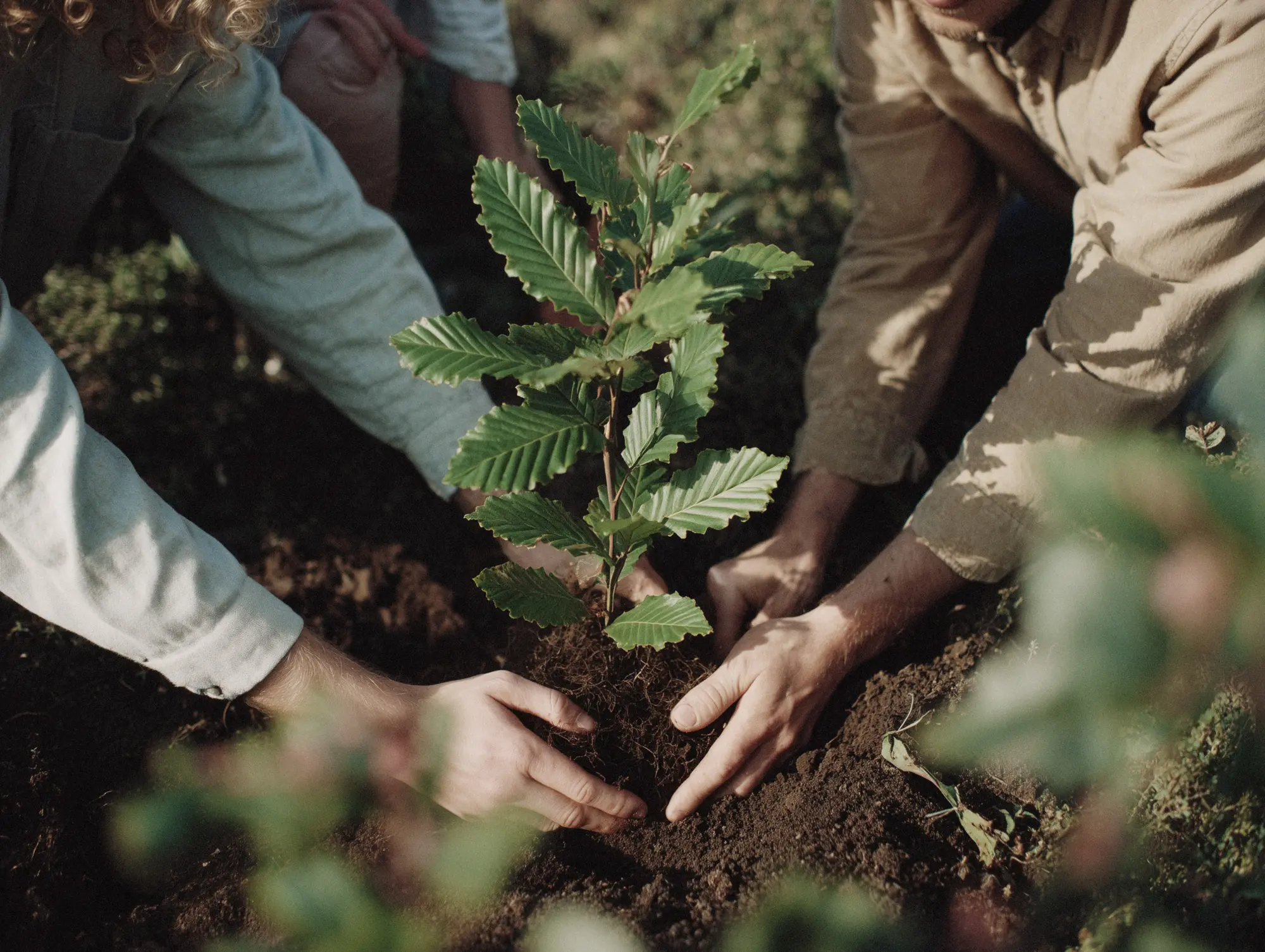 20250818 Stadt Linden KI Soziales 02