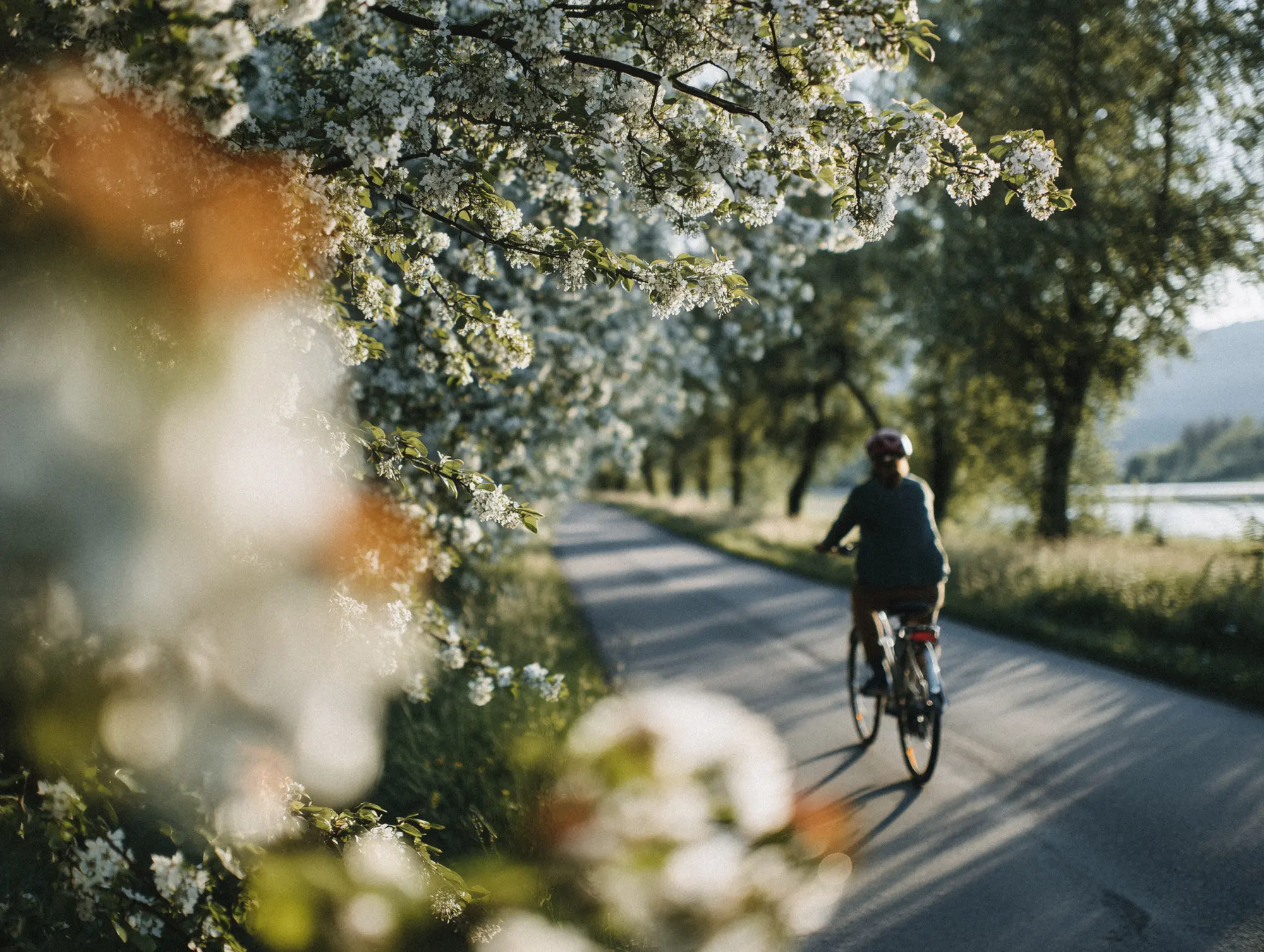 20250818 Stadt Linden KI Umwelt 01