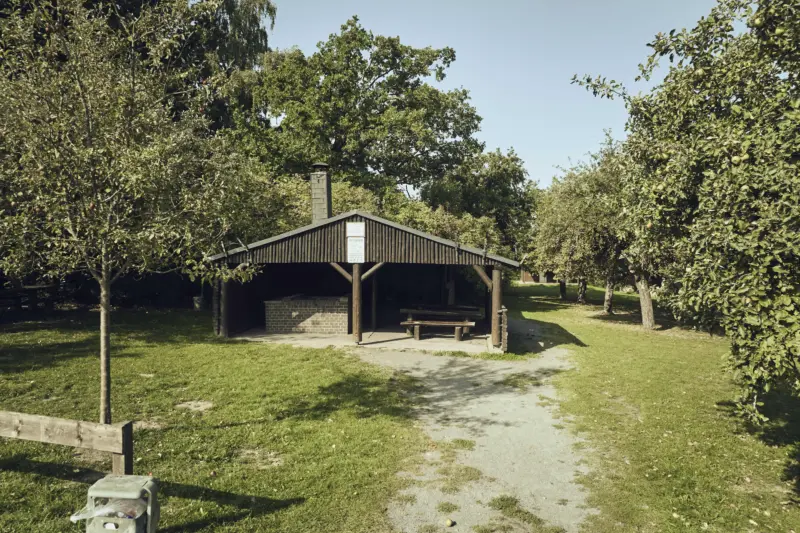 20250813 Stadt Linden Liegenschaften 0012