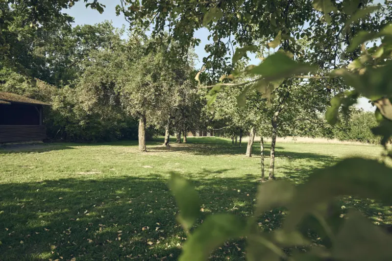 20250813 Stadt Linden Liegenschaften 0047