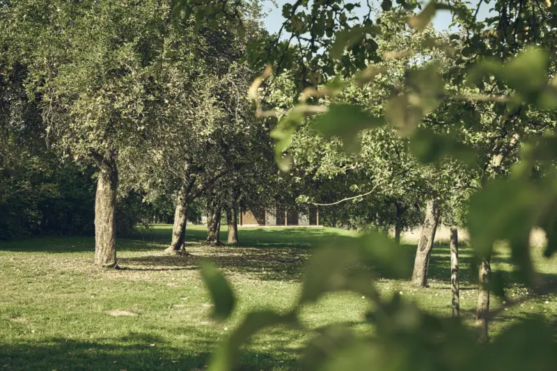 20250813 Stadt Linden Liegenschaften 0050