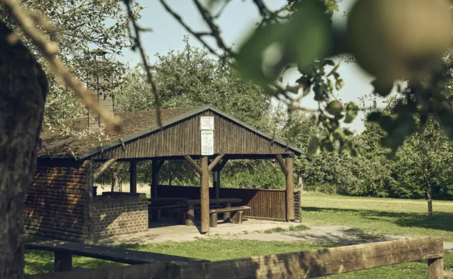 20250813 Stadt Linden Liegenschaften 0004