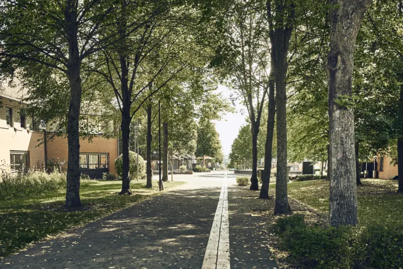 20250812 Stadt Linden Liegenschaften 0041